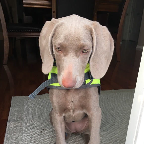 Meet your Posher, Jenn - Picture 1 of 1